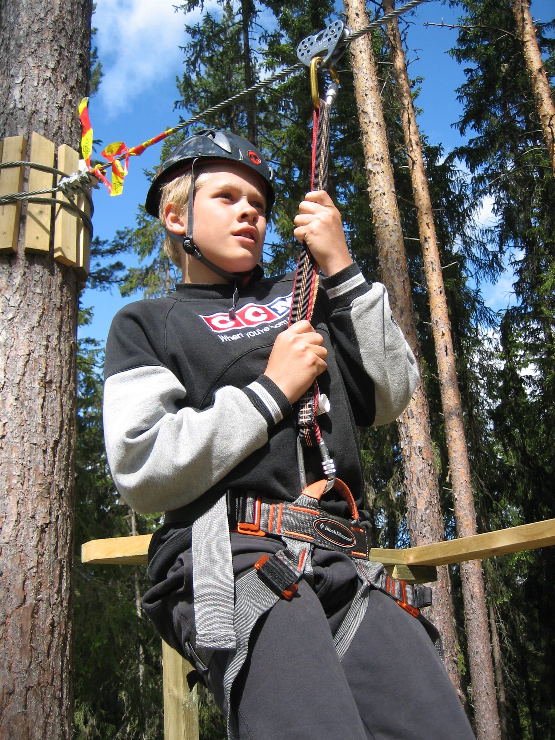 Zipline genom tallskogen på Zorbcenter
